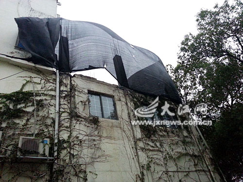 �ϲ�һ������Υ�������������γǹܸ��ֳ�