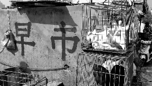 ����һ���й������׻��ݴ�Ͱմ��Ѫ����Ӭ����