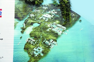 ���ܺ��ĵ���ƹᴩһ�����͡���