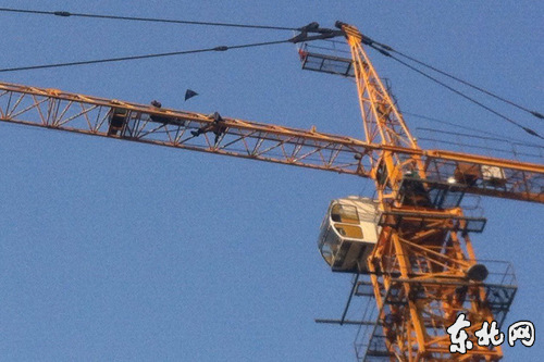 ����������ũ������Լ30�׸�������Ҫ����