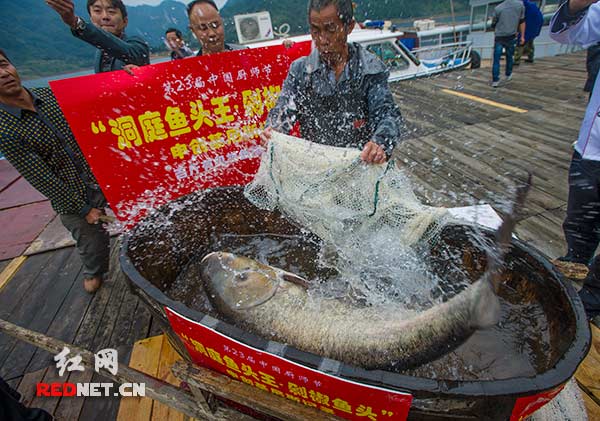 �ٽ��������������й���ʦ�����������罷��ͷ