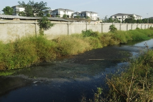 С����Χ�����������������ʮ��������죨ͼ��