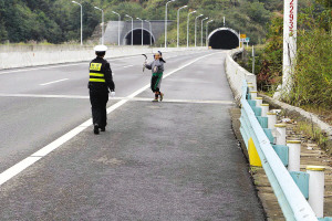 农妇迷路上高速误会民警阻止她干农活转身就跑