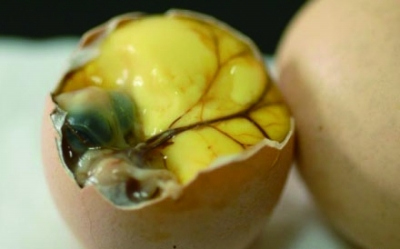 ��������ʮ�󡰹ֲˡ�ը���������ӡ����ϰ�ͼ��