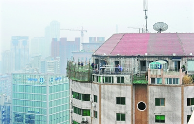 ס����20��ֲָĵ�33��Υ����ֻ���������Ѽ�