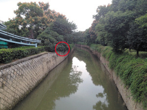 ����Ů�۲ͺ���5��6ƿ���̻���С��׹������ͼ��