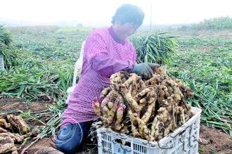 �����۸�һ����ʮ���չ��̴ӵ�ͷ���Ѳ�ȫ���չ�