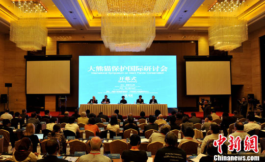 ����è�����������ֻ�ɶ�����