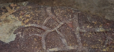 河南新密发现先民时期刻画符号绵延十余米(图)