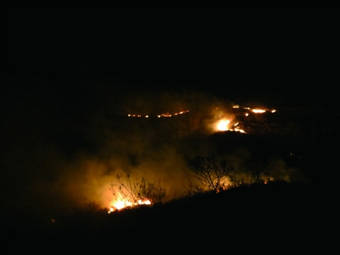 济南南部山体夜间突发大火多部门上百人灭火(图)