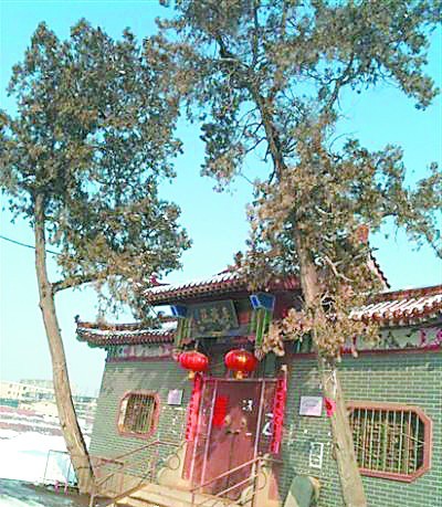 ��̨����һ��������ľ�����Ʊ���һ����ı���ֲ