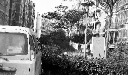 ס������ƺ�ĳ��ԼҲ˵�¥������������10���