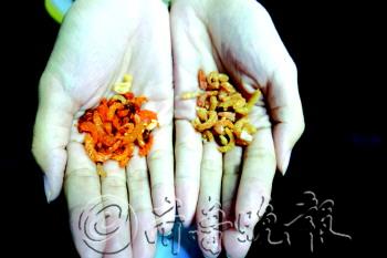 ������ɫ��������ɫ�ؽ���20���ӵ�ɫ���أ�ͼ��