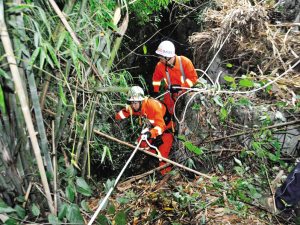 ũ��Ϊ�ȶ��ӵ�������ܶ���������ץ�����Ծ�