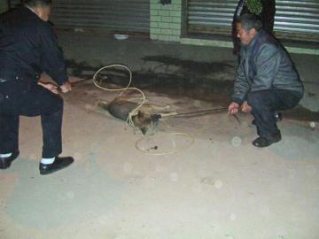 ҧ16ѧ7Ů򳤳ɡ򹷶ӳ