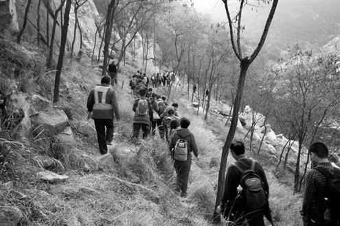 ������¿����Ʊ��̩ɽ����������Ա��������·