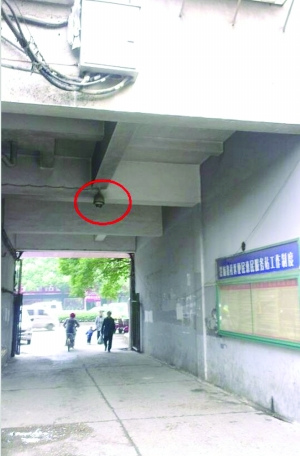 С�����̽ͷ���������Ƕ����ͬ���裨ͼ��