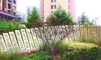街头竖起竹简式“国学墙”市民赞新颖有文化气息