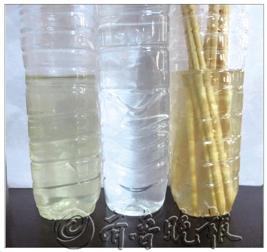 һ���Կ��ӽ��ݺ�������඼�����޲�Ʒ