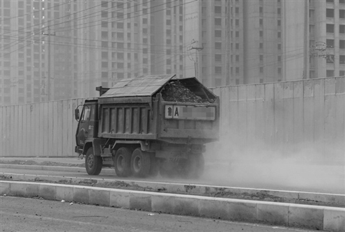 ����ʮ�����ﳾ���ر������鴦