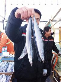 北方最大远洋捕捞船“鲁黄远渔105号”返港