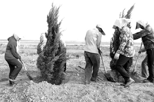 Ϋ��ʵʩɽ�����ӹ����ƽ��μ�̲Ϳ��ˮֲ������