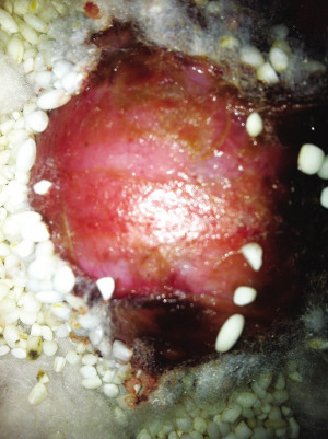 ����ɱ�����ּ�������ɰͨ���Ѫ��ɫ��ͼ��