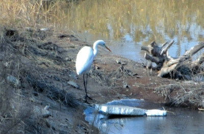 ���Ӱ����������ݰ������ʳҹ����ҰѼ��Ⱥ����