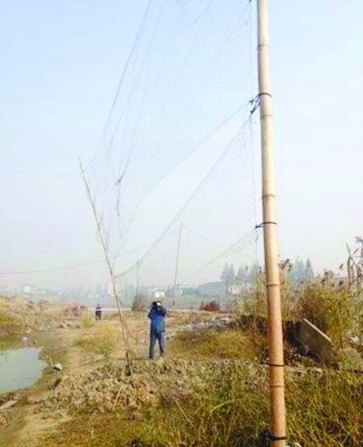 �������Ͼ������ֵ���������ũó�г����۰��