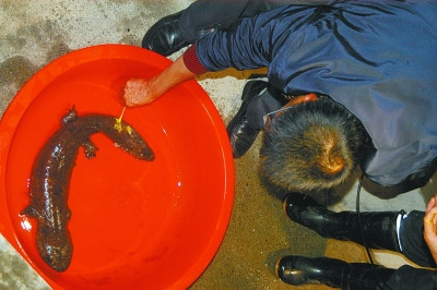 �人5�������㡰������ũ�ܰ���󽫷Ź���Ȼ