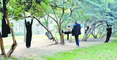 �������˹������ϵ���ǧ������֦��ѹ�ȣ�ͼ��