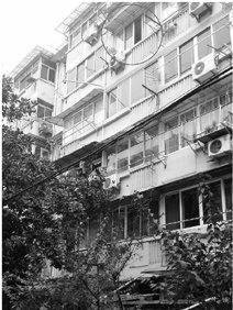 12���к������ڼҴ�5¥��̨׹�������ˣ�ͼ��