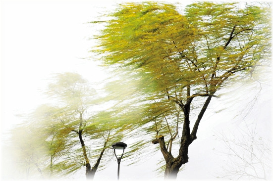 �㽭����PM2.5�����½�������������ʱ��������