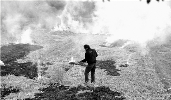 江浙沪及相关部门筹建长三角大气污染防治协作机制