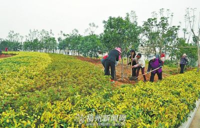 福州今年新建改造10多个公园道路绿地新增百万平米