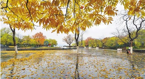 ����������ѩ�������δ����ҹ�²����