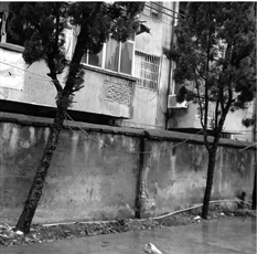 种业公司市区焚烧垃圾城管回应:继续焚烧将重罚