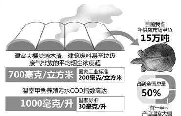 浙江未来3年整治甲鱼棚600万平米甲鱼村或将谢幕