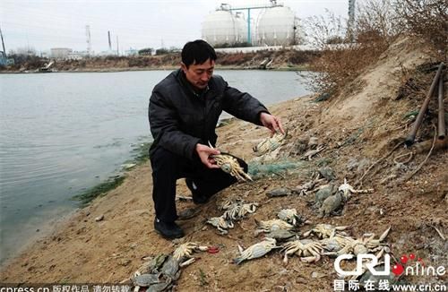 �ൺ��������Ϻ���������ֵ��飺��ԭ����Ⱦ���