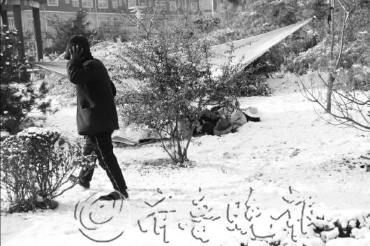 ɽ������ũ������״���������˲����ñ��ϳ�����