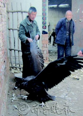 ���Ĵ��������ֻ�����ڵ�һ���ܳ������ؼ���