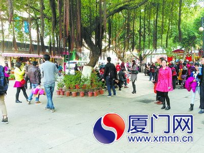 ���Ź�����������:���տ�˵��������ͼ��