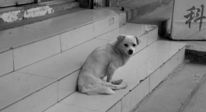 С������⳵��ѹ�Լ�ǿ��������Ϊ���˿��ţ�ͼ��