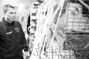 ��̨����15000ֻ����ˮ��ϵɽ���״Σ�ͼ��