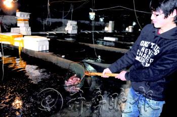 �����ɺ��ʡ��¹��塱����ϡȱ�۸񰺹�ͼ��