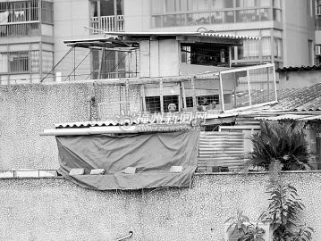 ¥�������¥��ס��Ƶ���ë��ࡰϮ������ͼ��