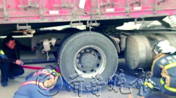 Ů����綯�����������ֲ�������ȥ����ͼ��