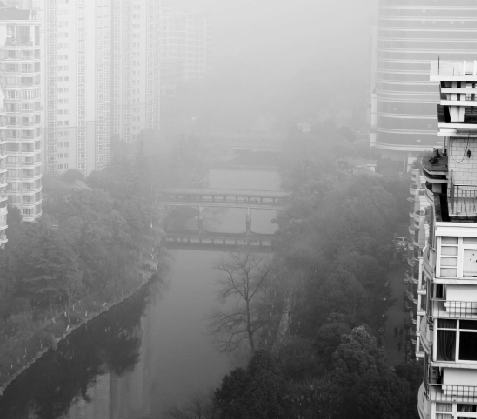 ���������������������ǰ����������������