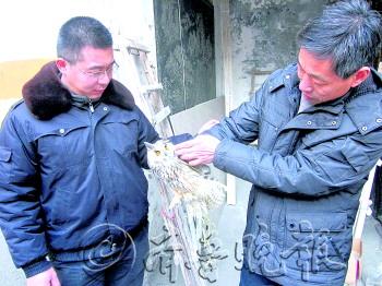 С����������èͷӥ��������30Ԫ���¾�����ͼ��