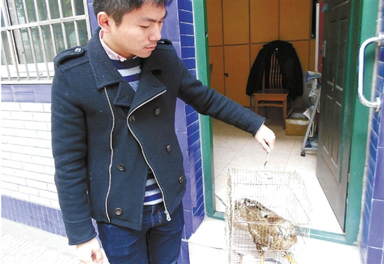 �ϲ���20�����Ÿ뱻ҧ������ϵ��������\��